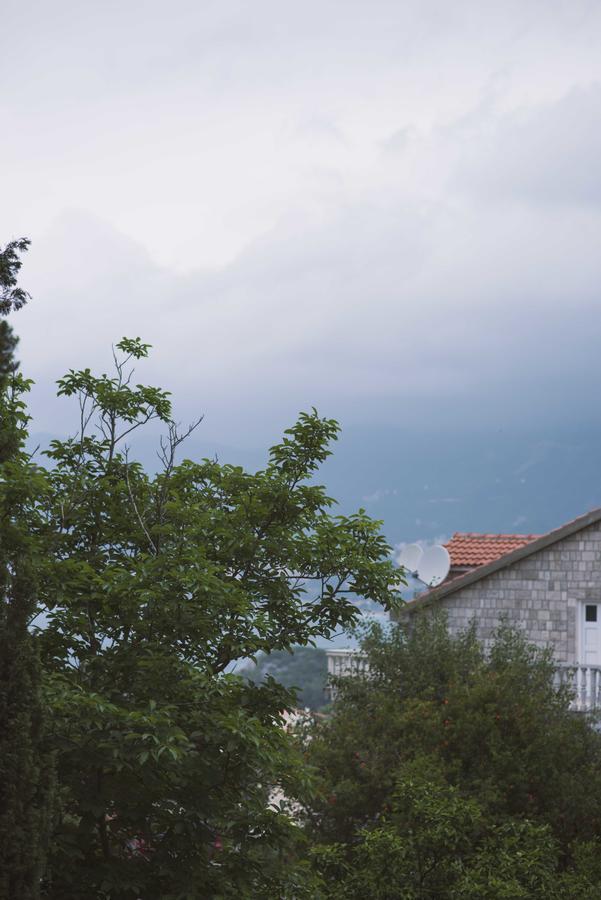 Porodicni Apartman Sveti Stefan Kültér fotó